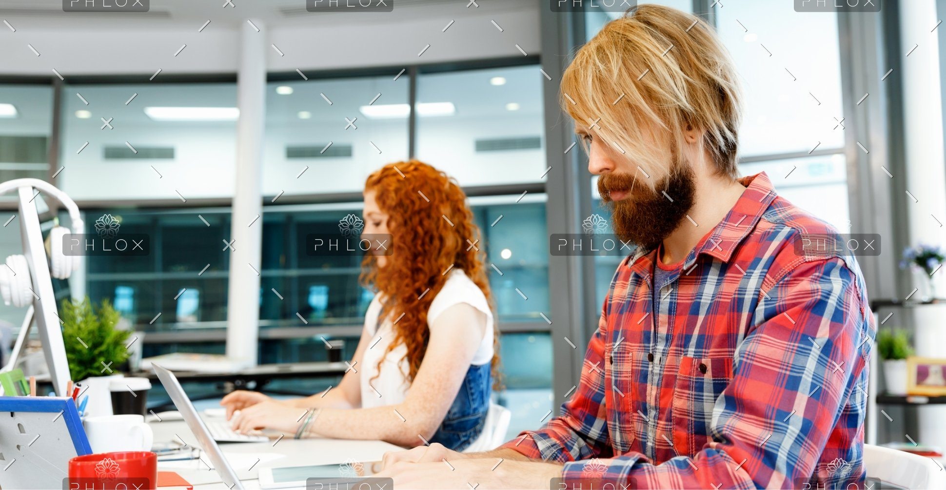 demo-attachment-311-services